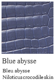Blue abysse