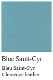 Blue saintcyr