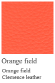 Orange field