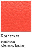Rose texas