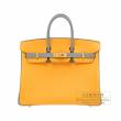 Hermes　Personal Birkin bag 25　Jaune d'or/Gris mouette　Epsom leather　Matt gold hardware