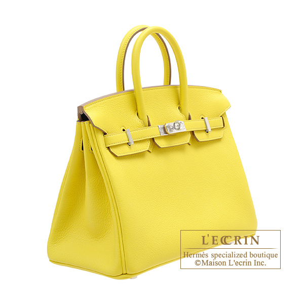 Hermes Birkin Handbag Bleuet Ostrich with Gold Hardware 30