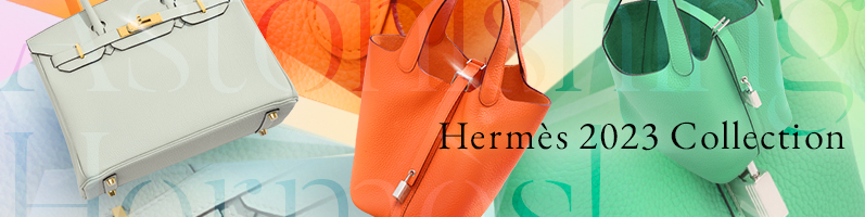 Hermes Picotin Lock micro Bag in 2023